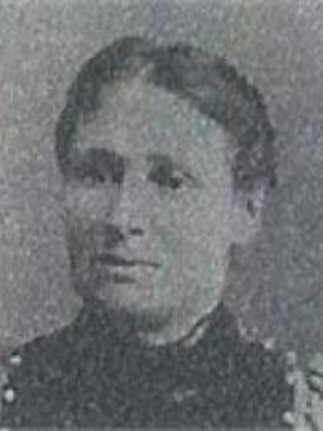 Isabella Arvin Spens (1862 - 1910) Profile